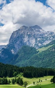 Preview wallpaper mountains, slope, forest, alps, landscape