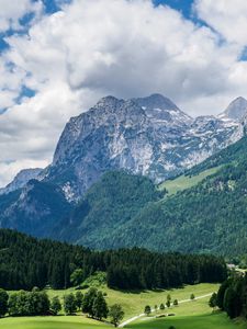 Preview wallpaper mountains, slope, forest, alps, landscape
