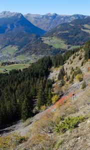 Preview wallpaper mountains, slope, forest, trees, nature, landscape