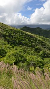 Preview wallpaper mountains, slope, grass, greenery, landscape