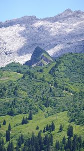 Preview wallpaper mountains, slope, grass, trees