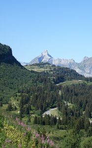 Preview wallpaper mountains, slope, road, trees, landscape, aerial view