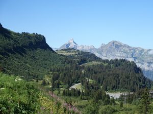 Preview wallpaper mountains, slope, road, trees, landscape, aerial view