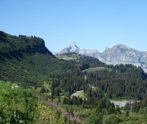 Preview wallpaper mountains, slope, road, trees, landscape, aerial view