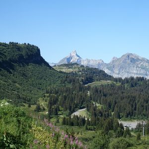 Preview wallpaper mountains, slope, road, trees, landscape, aerial view