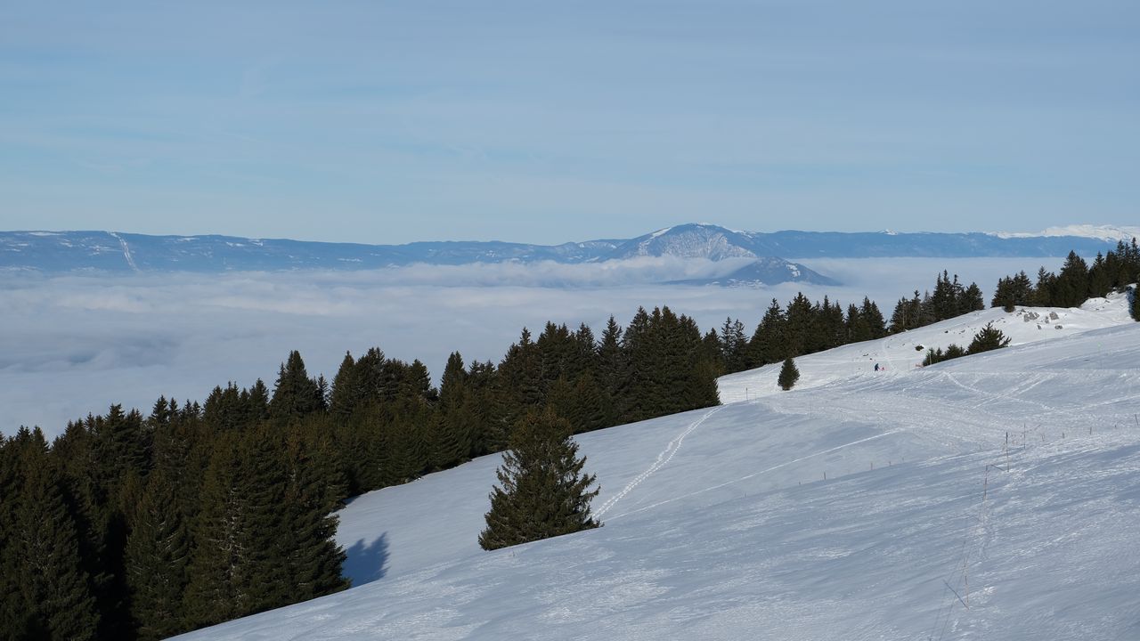 Wallpaper mountains, slope, snow, trees, winter, landscape