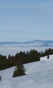 Preview wallpaper mountains, slope, snow, trees, winter, landscape