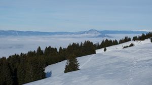 Preview wallpaper mountains, slope, snow, trees, winter, landscape