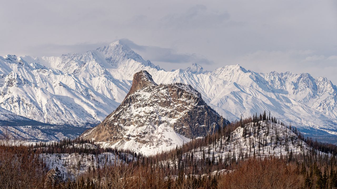 Wallpaper mountains, slope, snow, trees, winter