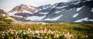 Preview wallpaper mountains, slope, snow, valley, flowers, grass