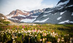 Preview wallpaper mountains, slope, snow, valley, flowers, grass
