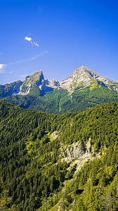 Preview wallpaper mountains, slope, trees, forest, landscape, nature