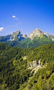 Preview wallpaper mountains, slope, trees, forest, landscape, nature