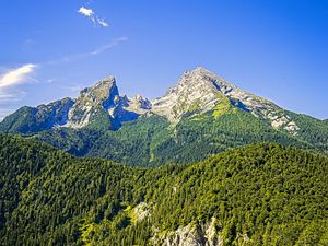 Preview wallpaper mountains, slope, trees, forest, landscape, nature