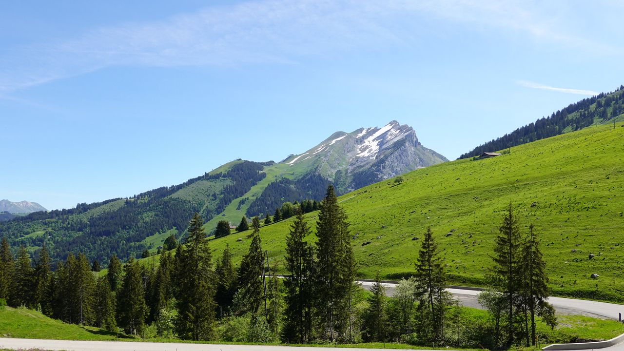 Wallpaper mountains, slope, trees, road