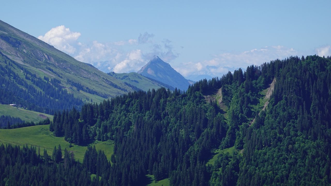 Wallpaper mountains, slope, trees