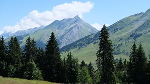 Preview wallpaper mountains, slope, trees, nature