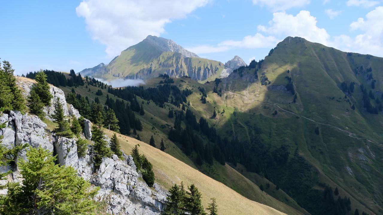 Wallpaper mountains, slope, trees, stones, landscape