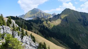 Preview wallpaper mountains, slope, trees, stones, landscape