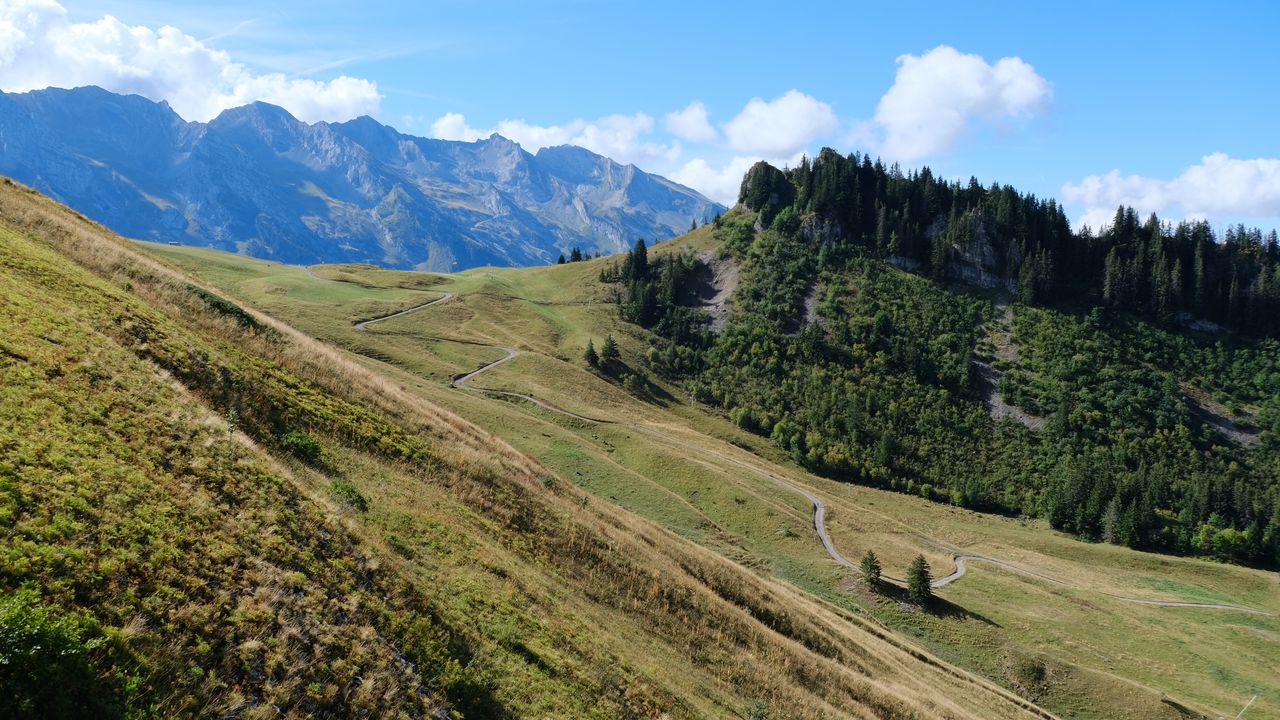 Wallpaper mountains, slope, trees, trail