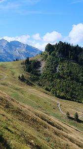 Preview wallpaper mountains, slope, trees, trail