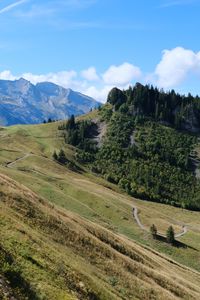 Preview wallpaper mountains, slope, trees, trail