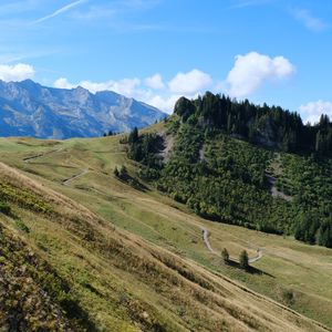 Preview wallpaper mountains, slope, trees, trail