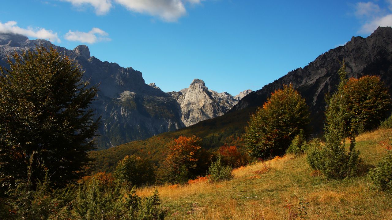 Wallpaper mountains, slope, trees, grass, nature