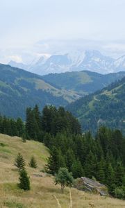 Preview wallpaper mountains, slopes, forest, fog, nature