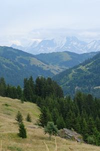 Preview wallpaper mountains, slopes, forest, fog, nature