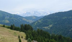 Preview wallpaper mountains, slopes, forest, fog, nature