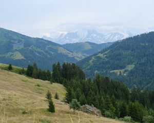 Preview wallpaper mountains, slopes, forest, fog, nature