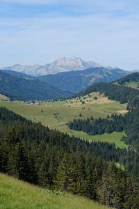 Preview wallpaper mountains, slopes, landscape, nature, trees