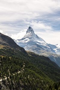 Preview wallpaper mountains, slopes, snow, trees