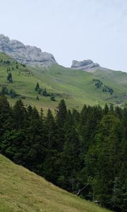 Preview wallpaper mountains, slopes, trees, forest, sky, landscape