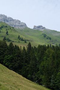 Preview wallpaper mountains, slopes, trees, forest, sky, landscape