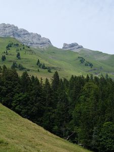 Preview wallpaper mountains, slopes, trees, forest, sky, landscape