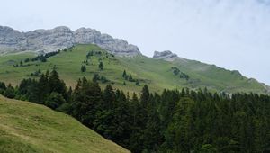 Preview wallpaper mountains, slopes, trees, forest, sky, landscape