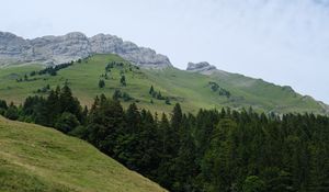 Preview wallpaper mountains, slopes, trees, forest, sky, landscape