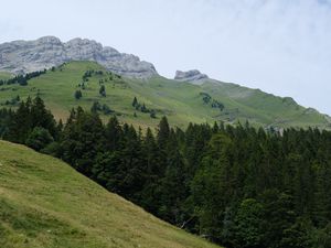 Preview wallpaper mountains, slopes, trees, forest, sky, landscape