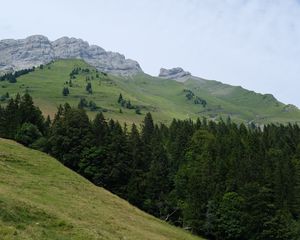 Preview wallpaper mountains, slopes, trees, forest, sky, landscape