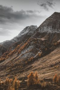 Preview wallpaper mountains, slopes, trees, peaks, nature