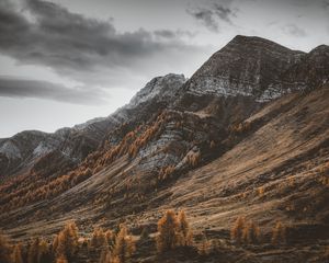 Preview wallpaper mountains, slopes, trees, peaks, nature