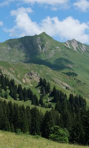 Preview wallpaper mountains, slopes, trees, landscape