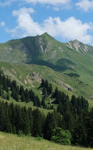 Preview wallpaper mountains, slopes, trees, landscape