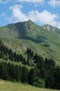 Preview wallpaper mountains, slopes, trees, landscape