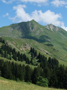 Preview wallpaper mountains, slopes, trees, landscape