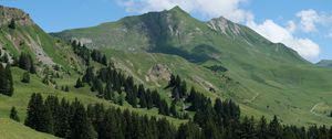Preview wallpaper mountains, slopes, trees, landscape