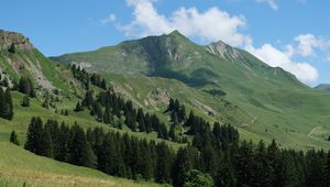 Preview wallpaper mountains, slopes, trees, landscape