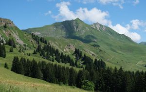 Preview wallpaper mountains, slopes, trees, landscape